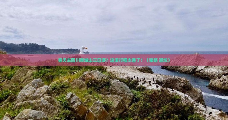 春天到四川青城山三日游
