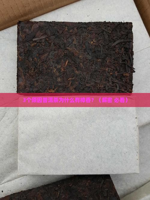 普洱茶为什么有樟香