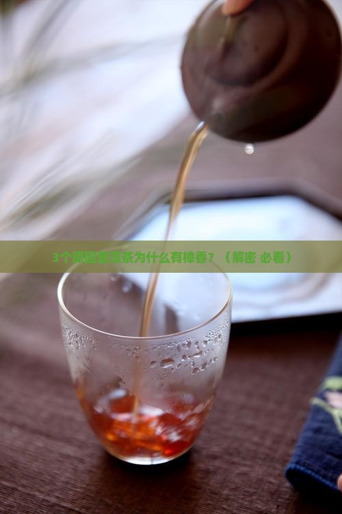 普洱茶为什么有樟香