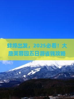 蚌埠去西安大唐芙蓉园五日游