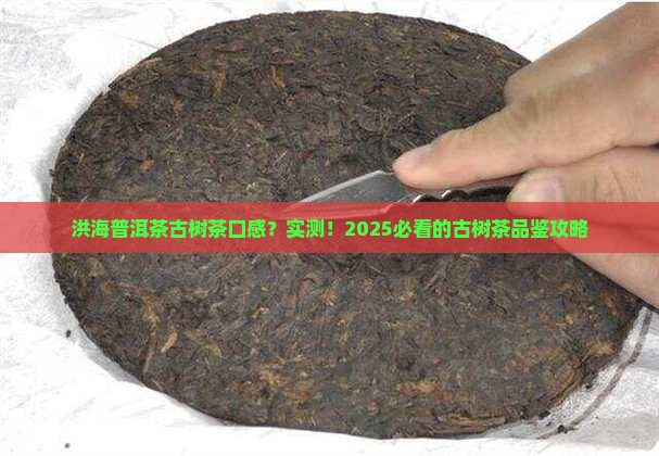 洪海普洱茶官网古树茶口感