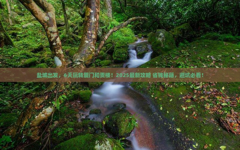 盐城出发，6天玩转厦门和贵楼！2025最新攻略+省钱秘籍，避坑必看！