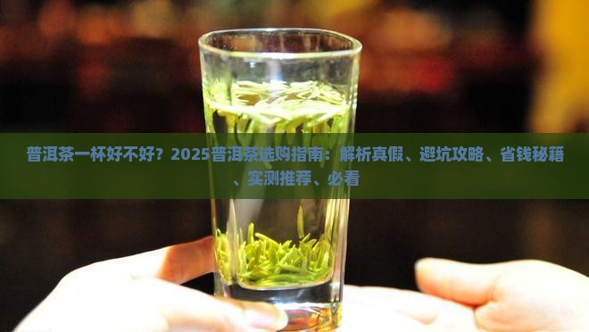 普洱茶一杯好不好