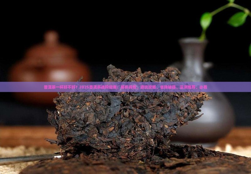 普洱茶一杯好不好