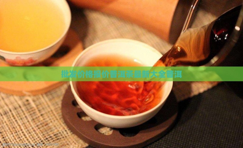 行知茶堂普洱茶价格
