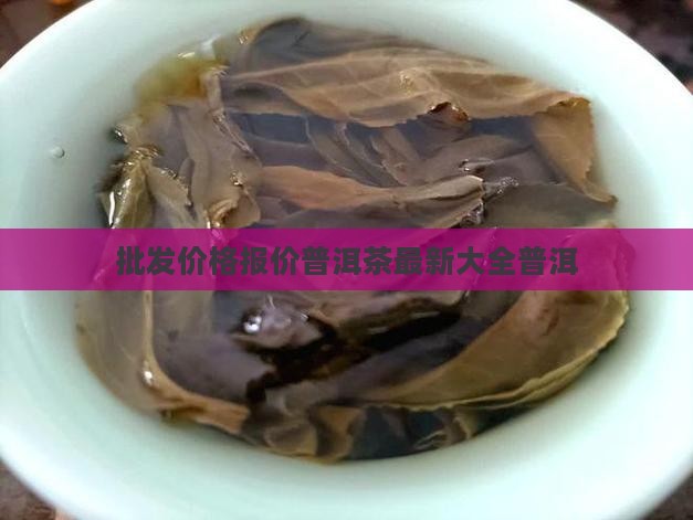 行知茶堂普洱茶价格