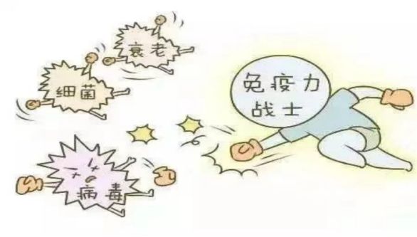 您的免疫力状况如何？外周血淋巴细胞亚群检测为您一探究竟——太原市人民医院健康科普
