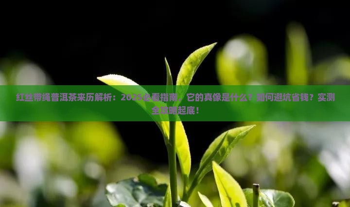 红丝带绳普洱茶来历解析：2025必看指南，它的真像是什么？如何避坑省钱？实测全攻略起底！