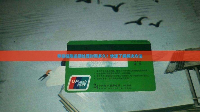 停息挂账逾期处理时间多久