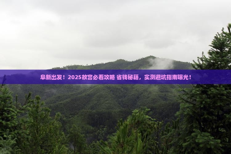 阜新出发！2025故宫必看攻略+省钱秘籍，实测避坑指南曝光！