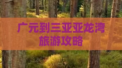 广元去三亚亚龙湾旅游