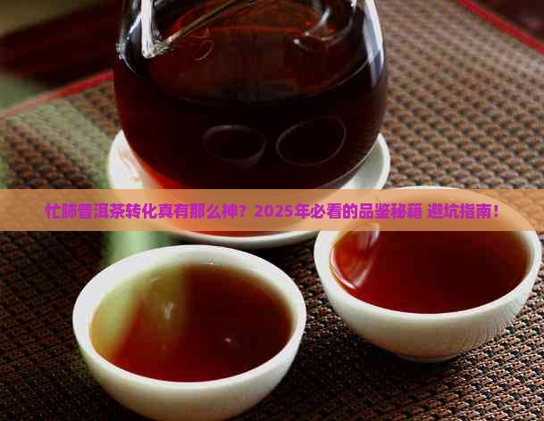忙肺普洱茶转化怎么样