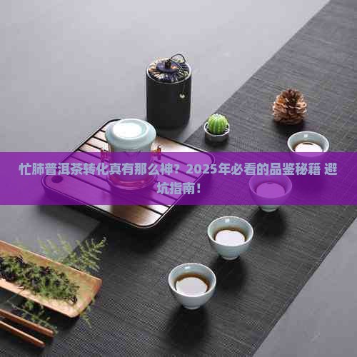 忙肺普洱茶转化怎么样