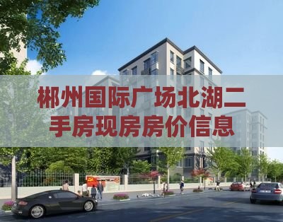 郴州友阿国际广场周边现房