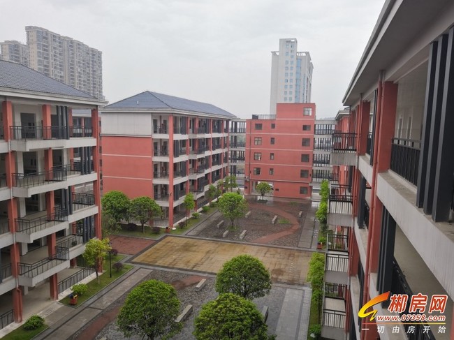 27完小.jpg