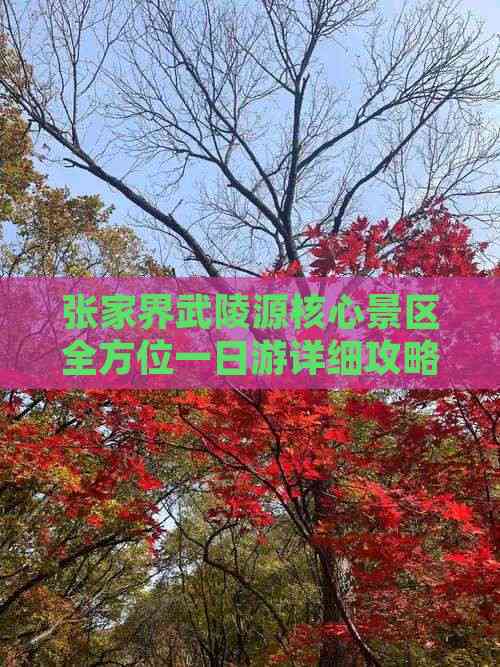 张家界武陵源核心景区全方位一日游详细攻略